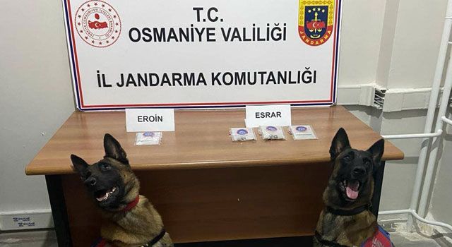 Osmaniye'de Uyuşturucu ve Kaçakçılık Operasyonu