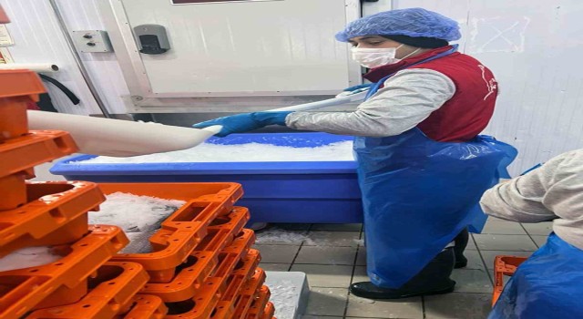 Roman vatandaşlar istihdama kazandırılıyor