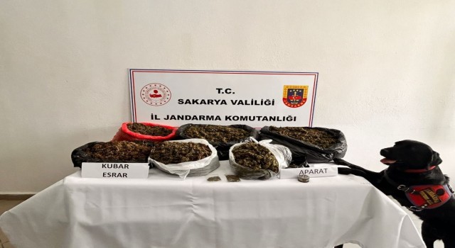 Sakaryada 21 kilo esrar ele geçirildi: 1 tutuklama