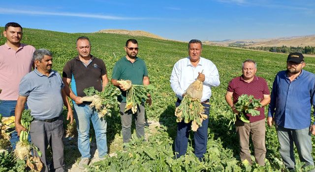 Şekerpancarı ve patates üreticileri, ürün tesliminde sorunlar yaşıyor