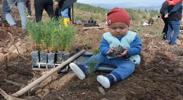 Sındırgıda 2023 fidan toprakla buluştu