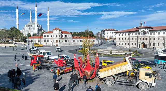 Sivas'ın sembolü olan ağaç'ın yerine yenisi dikildi