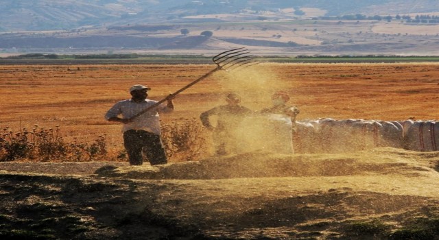 Tarım ürünleri üretici fiyat endeksi yıllık yüzde 62,56 arttı