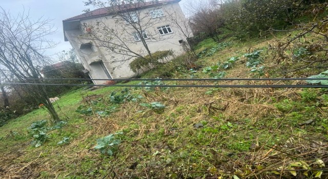 Telefon direkleri tehlike saçıyor