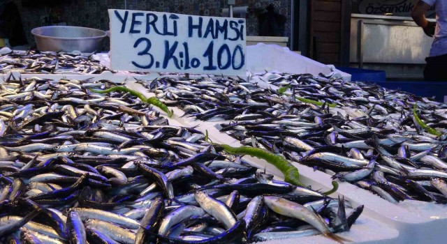 Trabzonda yerli hamsinin 3 kilosu 100 liradan satılıyor
