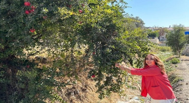 Uzun ve sağlıklı yaşamın sırrı ‘Nar da gizli