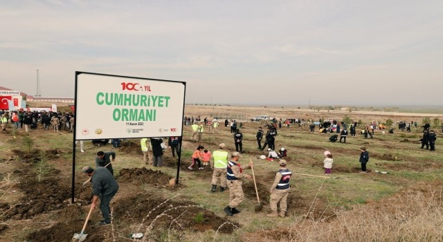 Vali Çakır: “Cumhuriyetimizin 100. yılına nefes olmak için fidan diktik”