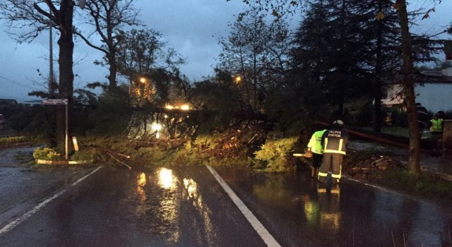 Yalova Belediyesi fırtınada 274 olaya müdahale etti