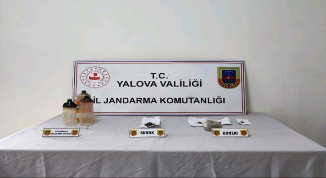 Yalovada ormanlık alanda uyuşturucu yetiştiren zanlı tutuklandı