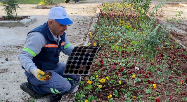 Akdeniz'de park ve yeşil alanlar yenileniyor