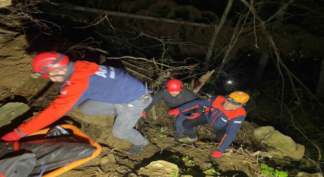 Artvinde orman işçisi uçuruma yuvarlanarak öldü