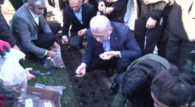 Baharı müjdeleyecek olan laleler, Üsküdarda toprağa dikildi