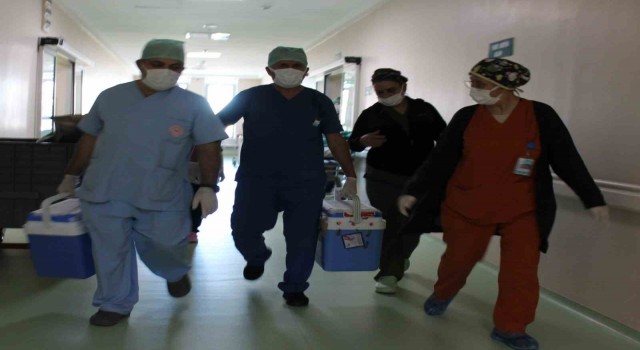 Beyin ölümü gerçekleşen 71 yaşındaki hastanın bağışlanan organları umut olacak