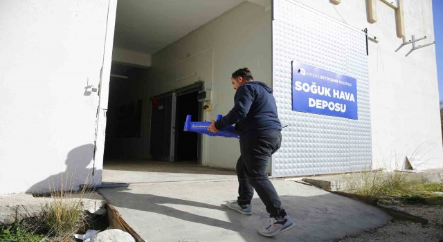 Büyükşehirden Finikeye soğuk hava deposu