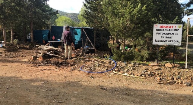 Datçada ormanlar bakıma alındı