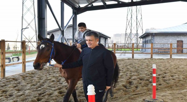 Down sendromlu Ayaza at üstünde terapi