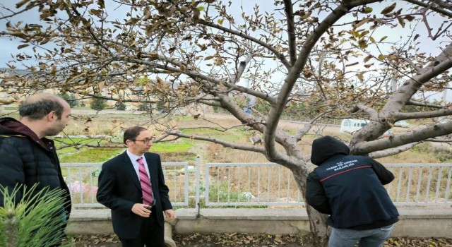 Emette Okul Müdürü meyve ağaçlarının bakımı konusunda bilgilendirildi