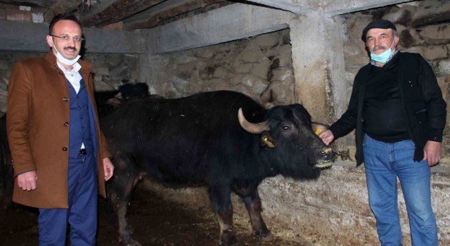 Giresunda 273 manda işletmesine 5 milyon 295 bin 250 TL destek ödemesi yapıldı