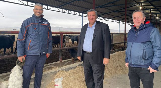 Gürer; “Hayvancılıkta sorunlar büyüyor: Et fiyatları 1000 liraya çıkabilir”