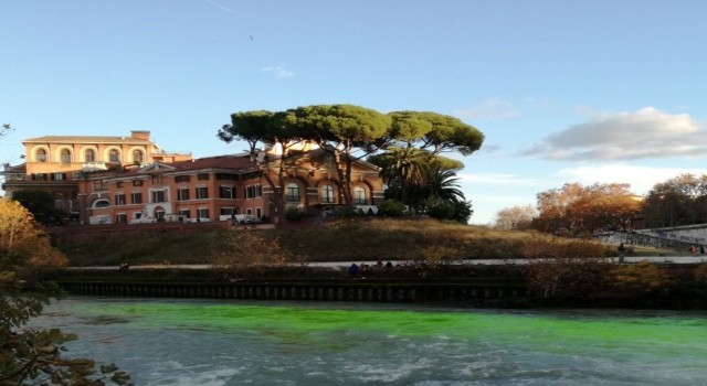 İklim aktivistleri Venedikteki Büyük Kanalı yeşile boyadı