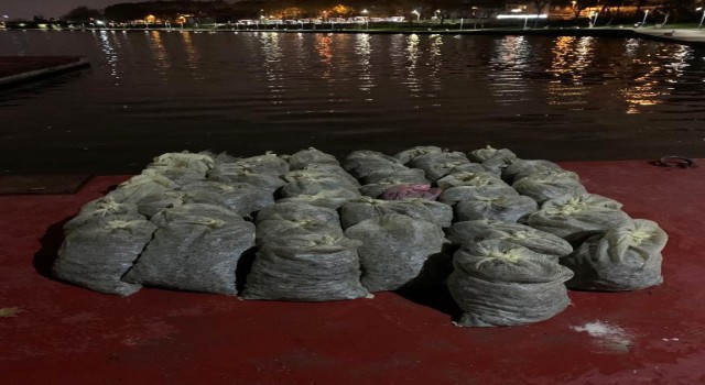 İstanbulda 1 buçuk ton kaçak midye ele geçirildi