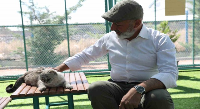 Kayseride ilk olan ‘Küçük Dostlar Kedi Kasabasına yoğun ilgi