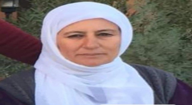 Mardin’de Kazada ağır yaralanan kadın, hayatını kaybetti