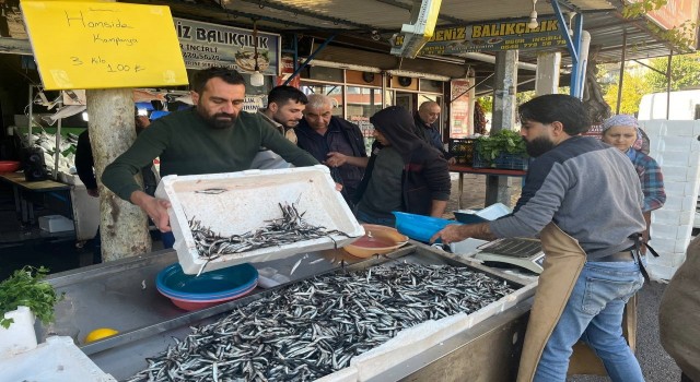 Kiliste balık tezgahlarını Karadeniz hamsisi süslüyor