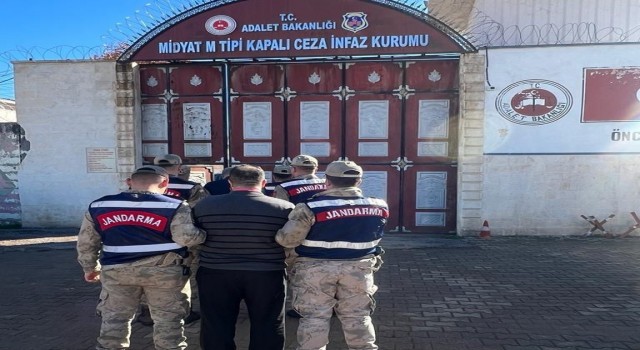 Mardinde büyükbaş hayvan çalan 3 hırsız tutuklandı