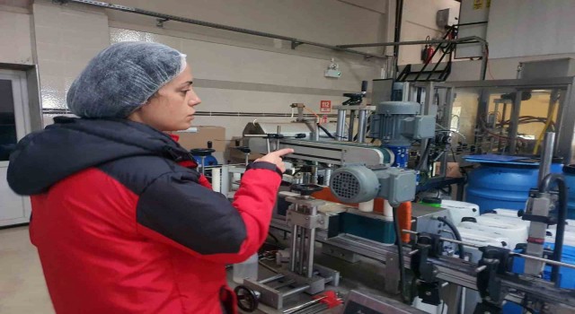 Muğla Tarım Müdürlüklerinden zeytin ve zeytinyağı denetimi