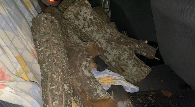 Çorum’da Odun hırsızı suçüstü yakalandı