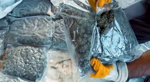 Osmaniye'de 12 Kilo Skunk Ele Geçirildi