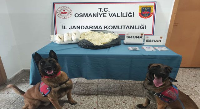 Osmaniye'de Uyuşturucu Operasyonu: 1 Şüpheli Tutuklandı