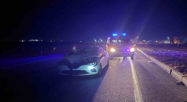 Otomobilin çarptığı yaya hayatını kaybetti