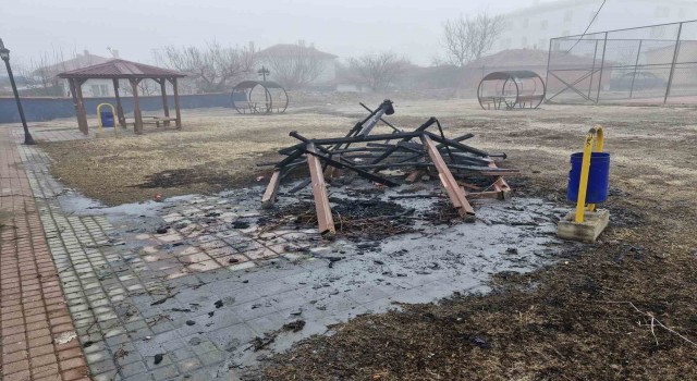 Şehir magandaları parktaki kamelyayı yaktı