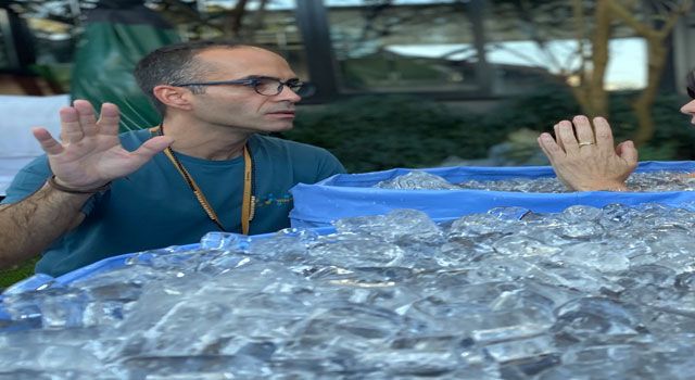 Soğuk Duş, Fiziksel ve Zihinsel Sağlığa İyi Geliyor