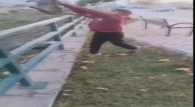 TikTokta paylaşmak için kediyi ırmağa atmışlardı, gözaltına alındılar