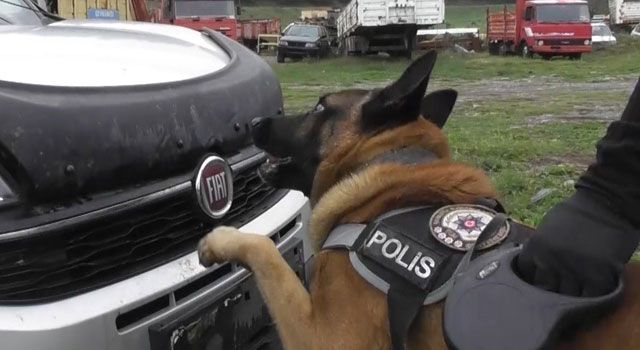 Uyuşturucu Tacirlerinin Kabusu “Poyraz”