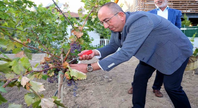 2023'ün en iyi rotası Meram Bağı