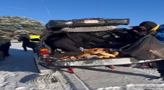 ATV tutkunları yaban hayvanlarını unutmadı