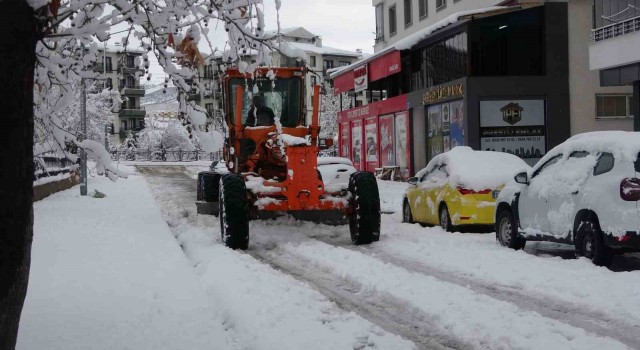 Bingölde kar kalınlığı yer yer 30 santimi aştı, 283 köy yolu ulaşıma kapandı