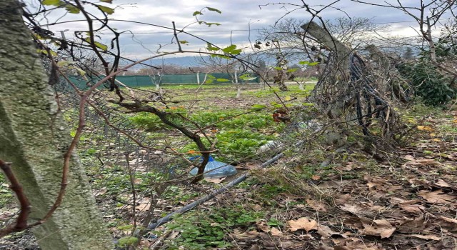 Bursada hırsızlar bağ evlerine dadandı