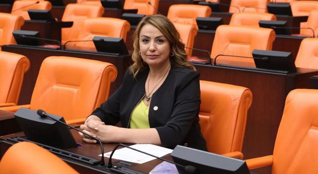 CHP'li Vekilden Su Taşkınlarıyla İlgili Soru Önergesi
