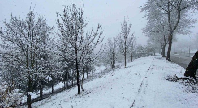 Düzcede 26 köy yolu kar nedeniyle kapalı