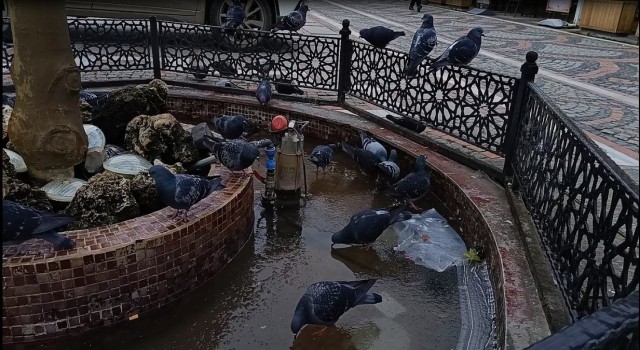 Edirnede dondurucu soğuk etkili oldu: Süs havuzları buz tuttu