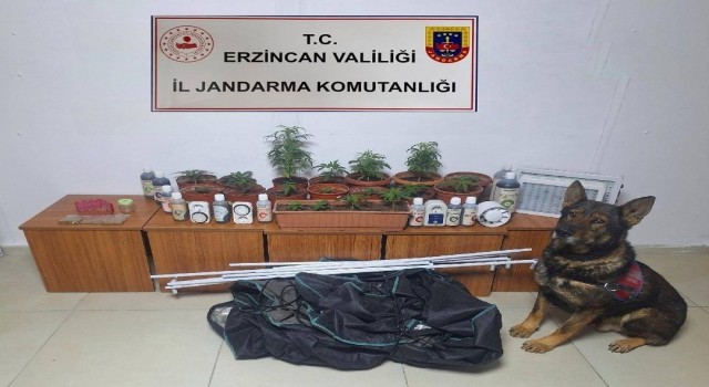 Erzincanda jandarma ekipleri suç ve suçluya geçit vermiyor