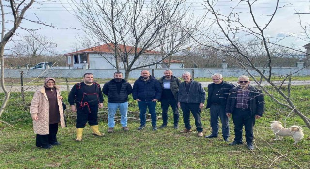 Fındık üreticilerine ‘doğru budama eğitimi