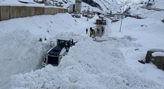 Hakkari-Çukurca Karayoluna düşen çığ temizlendi
