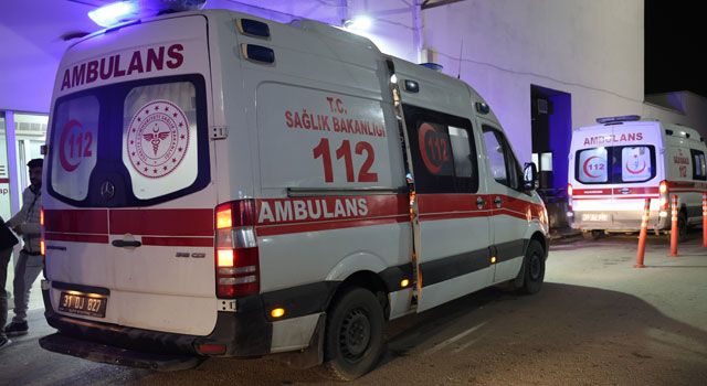 Hatay'da Balon Balığı 7 Kişiyi Zehirledi