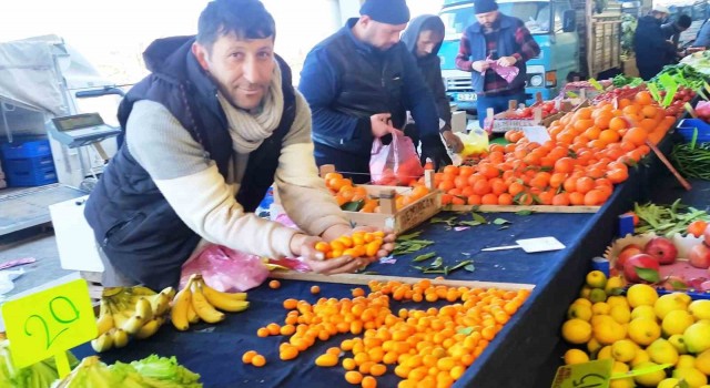 Hisarcıkta şifa deposu Kamkat meyvesi rağbet görüyor